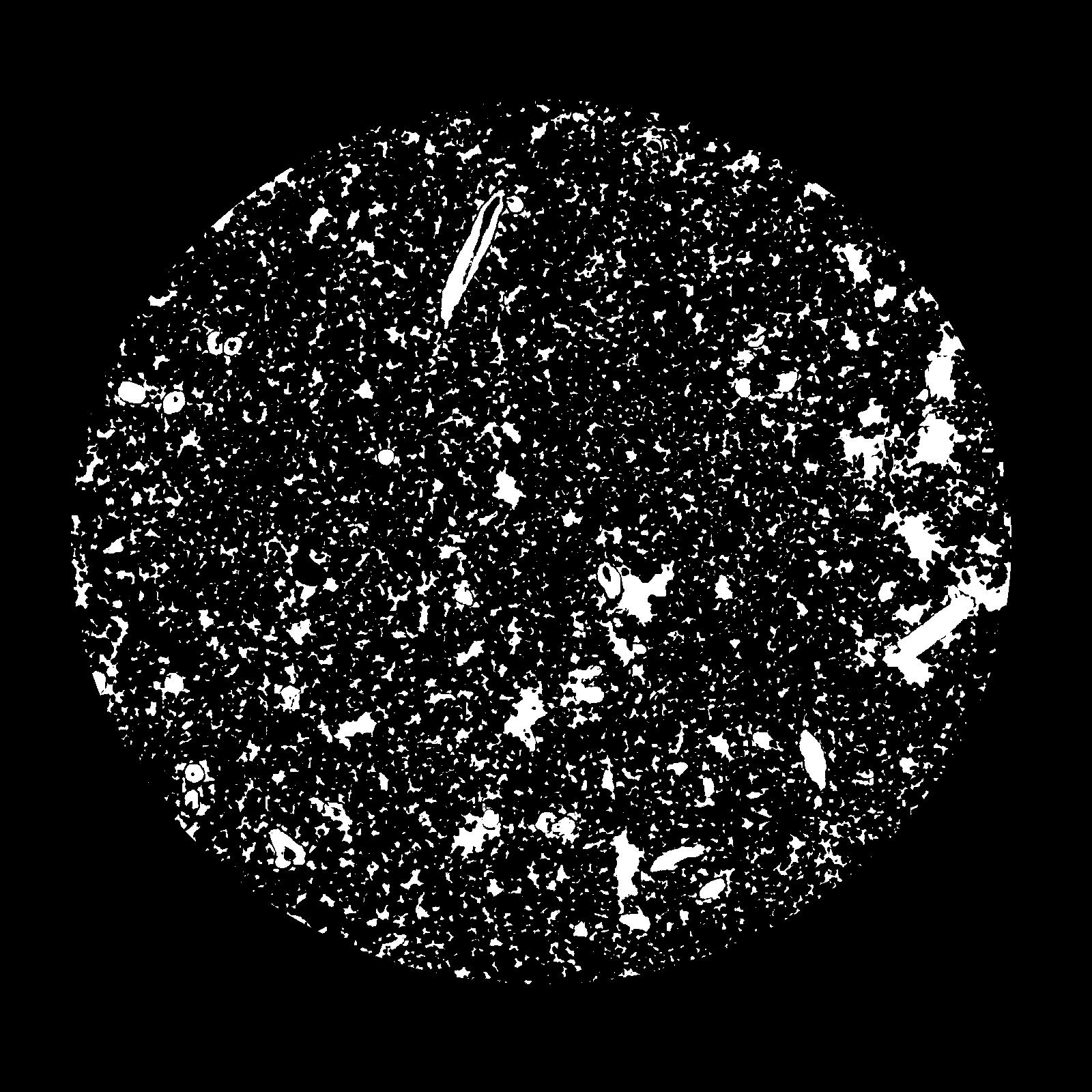 No valid image